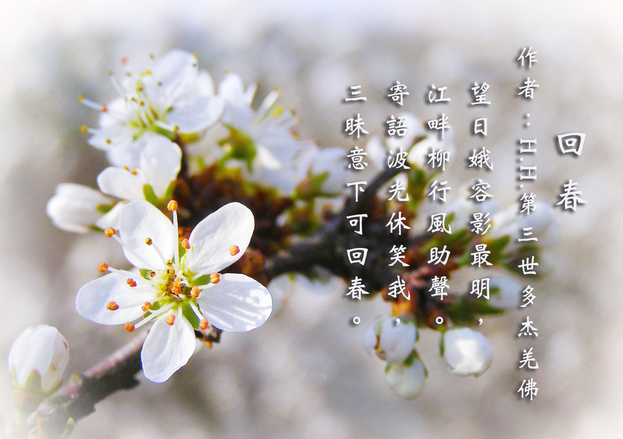 H.H.第三世多杰羌佛詩詞歌賦－回春